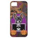Halloween - Just a Lil Spooky Chihuahua - Isabella