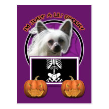 Halloween - Just a Lil Spooky - Chinese Crested Postcards