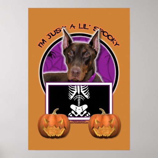 Halloween - Just a Lil Spooky - Doberman - Rocky Poster