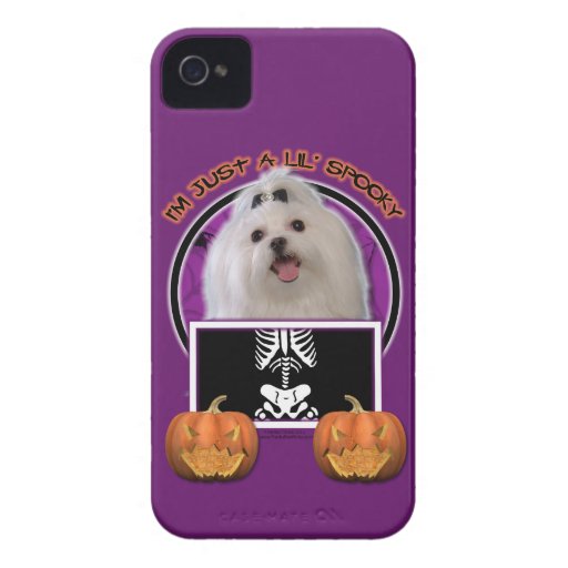 Halloween - Just a Lil Spooky - Maltese iPhone 4 Cases