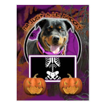 Halloween - Just a Lil Spooky - Rottie -SambaParTi Postcard