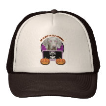 Halloween - Just a Lil Spooky - Weimaraner Hat