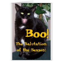 Halloween Kitty - Boo Card