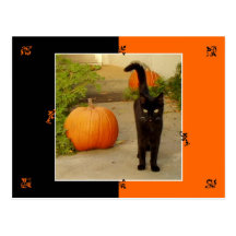 Halloween Kitty Postcard