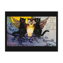 Halloween Owl and Black Cats Post Card