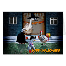 HALLOWEEN PARTY INVITATION GREETING CARDS