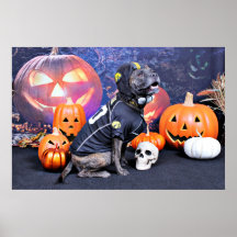Halloween - Pitbull - Marley Posters