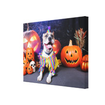 Halloween - Pitbull - Tyson Gallery Wrap Canvas