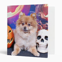 Halloween - Pomeranian - Simba