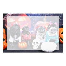 Halloween - Pug and Pom X - Bear Pearl Bruno Personalized Stationery
