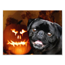 Halloween Pug Dog Art Photo
