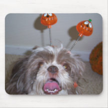 Halloween Shih Tzu Mousepad