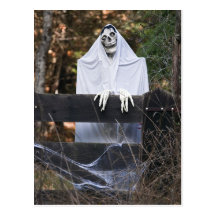 Halloween Skeleton Postcard