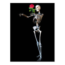 Halloween Skeleton With Rose Post Cards