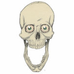 Halloween Skull photo sculptures
