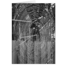 Halloween-Spider Web Cards