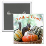 Halloween Squirrel Buttons
