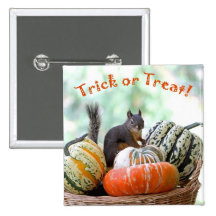 Halloween Squirrel Buttons