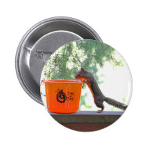 Halloween Squirrel Pins
