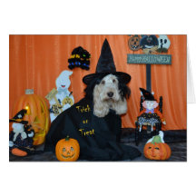 Halloween Trick or Treat Cards