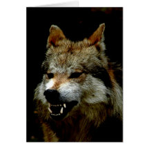 Halloween wolf cards