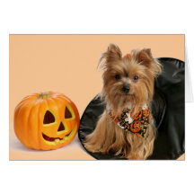Halloween Yorkie Greeting Card