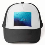 Hammerhead shark hat