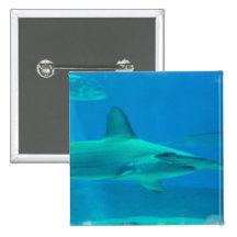 Hammerhead Shark Underwater Button