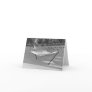 Hammock in the Snow Notecards
