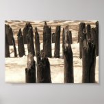 Hamptons Dock Print