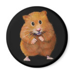 HAMSTER: ART ON BLACK: COLOR PENCIL FRIDGE MAGNETS