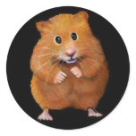 HAMSTER: ART ON BLACK: COLOR PENCIL