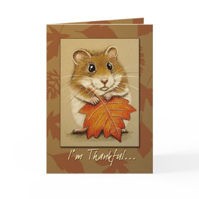 Hamster & Autumn Leaf - Thanksgiving Card by gabycat
