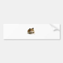 Hamster Bumper Sticker