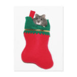 Hamster Christmas stocking Post Card