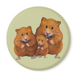 Hamster Family of Three: Cute: Color Pencil Fridge Magnet