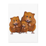 Hamster Family of Three: Cute: Colour Pencil Post Card