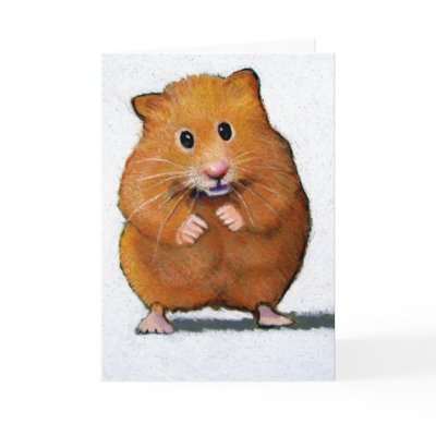 HAMSTER IN COLOR PENCIL CARDS by joyart