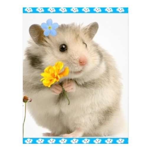hamster letterhead