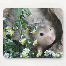 hamster mousepad