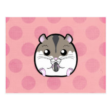 Hamster nain russe naturel cartes postales