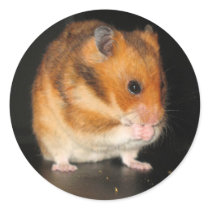 Hamster stickers stickers