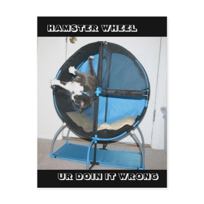 HAMSTER WHEEL, UR DOIN IT WRONG by amwesley