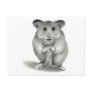 HAMSTER WITH PEANUT, PENCIL ART POSTCARD