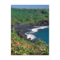 Hana Black Sand Beach Maui Hawaii Post Card