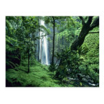 Hanakapiai Falls along the Na Pali Coast, Kauai, Postcards
