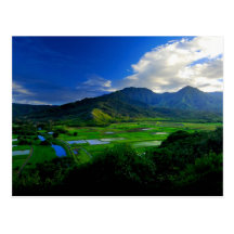 Hanalei River Valley, Kauai Postcard
