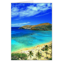 Hanauma Bay Beach Aloha!