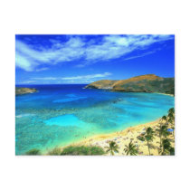 Hanauma Bay Beach Aloha!