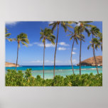Hanauma Bay, Hawaii and Trees Print